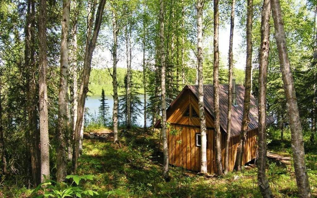 Talkeetna Lakeside Cabins Denali Extérieur photo